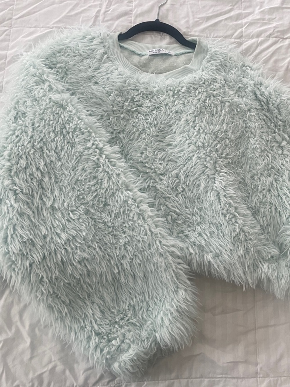Cozy Faux-Fur Crewneck Sweater in Light Mint
